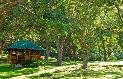 castle rock calamba|5 Exciting Tourist Spots To Visit in Calamba.